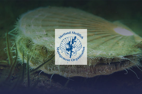 2016 NS and WS Inshore Mackerel Management Arrangements