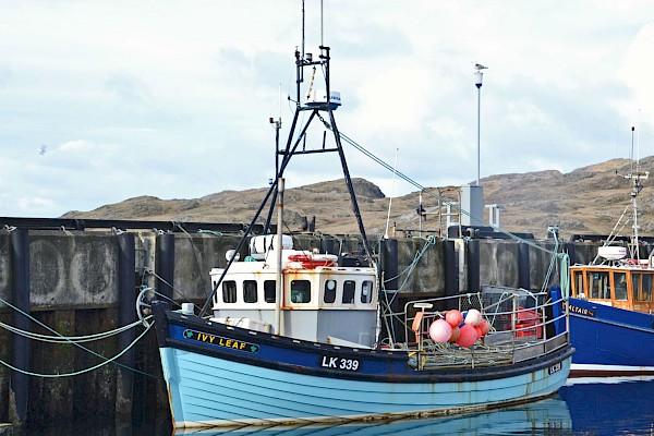 Members' Vessels